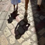 In den Gassen von Kotor In den Gassen von Kotor